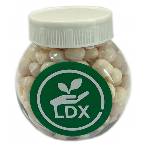 PLASTIC JAR FILLED WITH MINTS OR CHEWY MINTS 170G